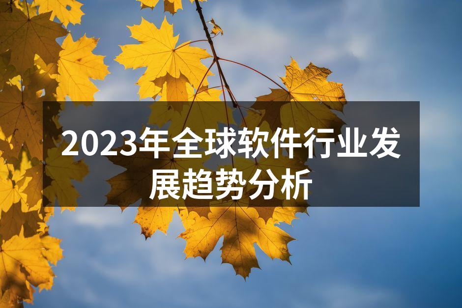 2023年全球软件行业发展趋势分析