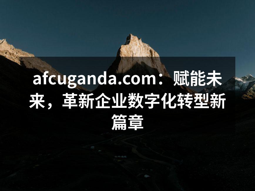 afcuganda.com 团队正积极投入新一代数字化解决方案的研发。
